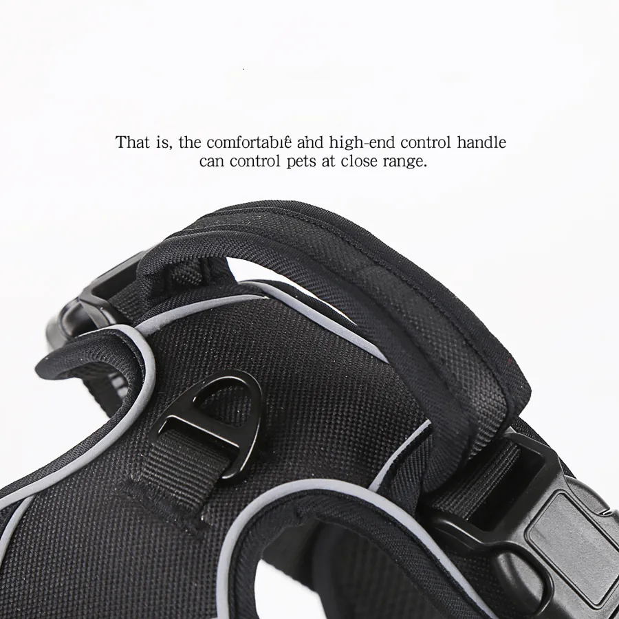 No-Pull Reflective Harness photo 3