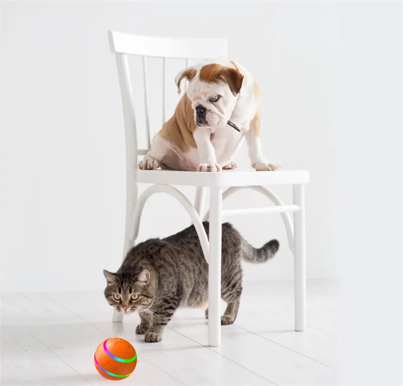 Smart Rolling Pet Ball photo 4