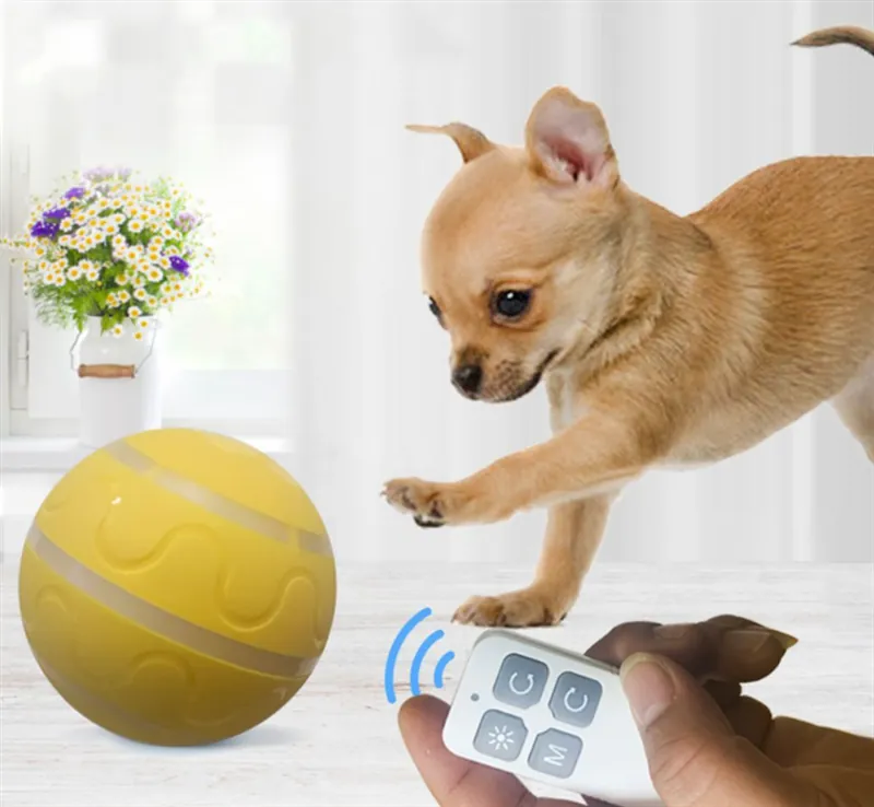 Smart Rolling Pet Ball
