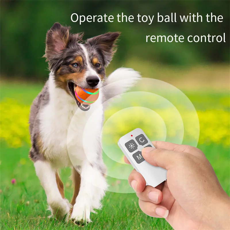 Smart Rolling Pet Ball photo 3