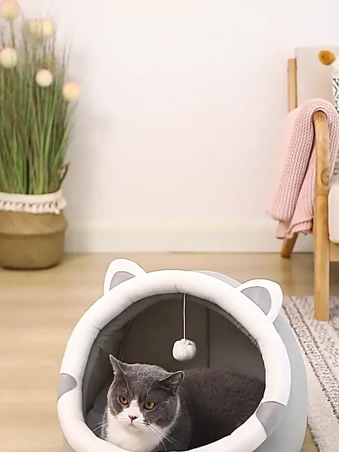 Cozy Cat Cave House photo 4